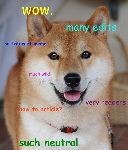 File:Doge homemade meme.jpg