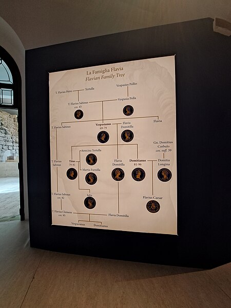 File:Domiziano Imperatore Odio e Amore The Flavian Family Tree (52389655420).jpg