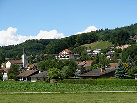 Zügelfirma Dottikon, Zügelfirma Dottikon