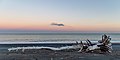 77 Driftwood on the beach north of Kaikoura, Canterbury, New Zealand 02 uploaded by Podzemnik, nominated by Podzemnik