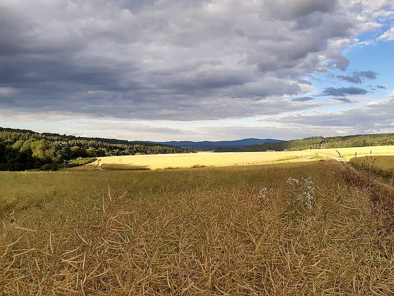 File:Ehrenbach valley in July.jpg