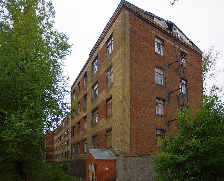 File:Elektrostal, Moscow Oblast, Russia - panoramio (99).jpg