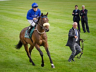 <span class="mw-page-title-main">Encke (horse)</span> American-bred Thoroughbred racehorse