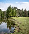 * Nomination Iturribaltz retention basin in the Entzia mountain range. Álava, Basque Country, Spain --Basotxerri 10:37, 17 June 2018 (UTC) * Promotion Good quality. --Jacek Halicki 10:53, 17 June 2018 (UTC)