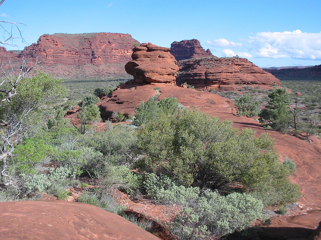 Parque Nacional Finke Gorge