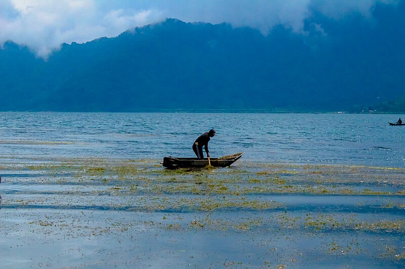 File:Fisherman on Lake Atitlán, Guatemala.jpg