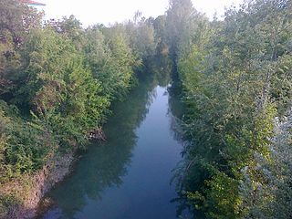 Lamone (river)
