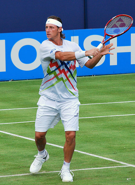 File:Flickr - Carine06 - David Nalbandian (49).jpg