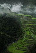 Ifugao Rice Terraces by James Singlador