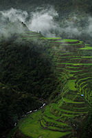 Ifugao Rice Terraces Author: James Singlador