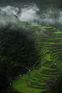 Ifugao Rice Terraces by James Singlador
