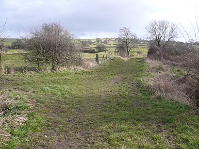 How to get to Carr Vale with public transport- About the place