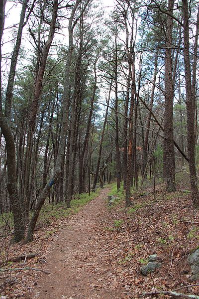 File:Fort mountain trail.jpg