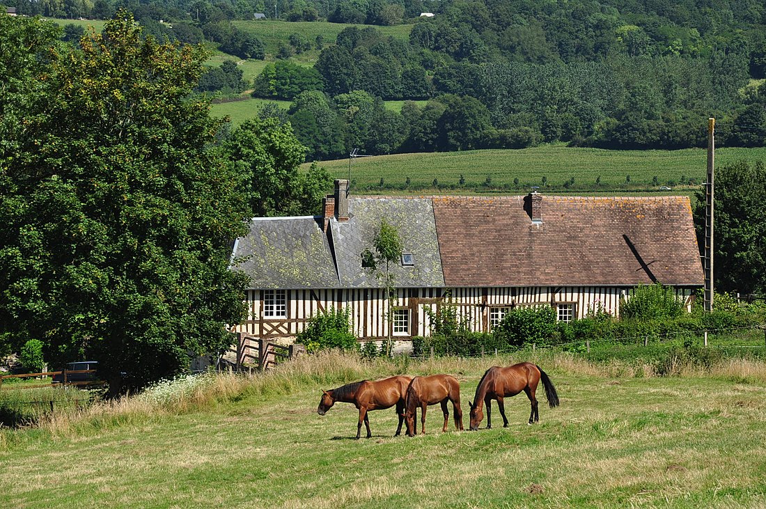 Calvados