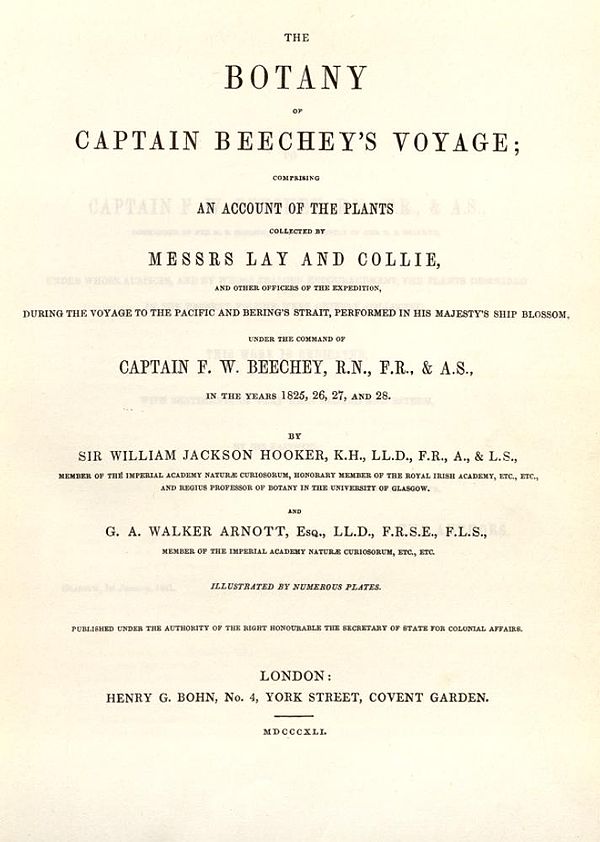 The Botany of Captain Beechey's Voyage, 1841