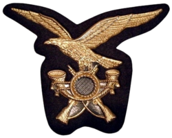 Fregio alpini (per personale i permanent service) .png