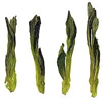 Fresh taiping houkui green tea leaves