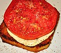 Fresh tomato sandwich.jpg