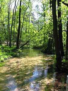 Furlbach in the Furlbachtal