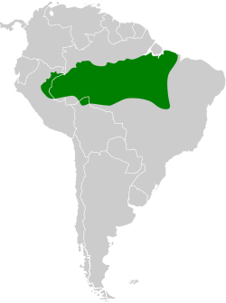 Distribución geográfica del jacamará cariazul.