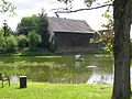 Villagepond / Dorfteich