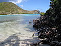 Baai gezien vanaf het strand op Ginger Island