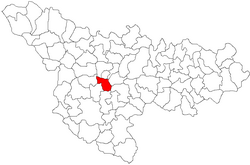Posizione nella contea di Timiș