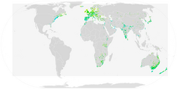Great Cormorant ebird data map.png