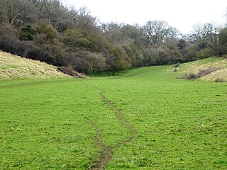 <span class="mw-page-title-main">Great Shuttlesfield Down</span>