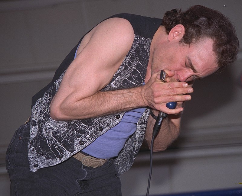 https://upload.wikimedia.org/wikipedia/commons/thumb/d/df/GregTaylorHarmonica1996.jpg/800px-GregTaylorHarmonica1996.jpg