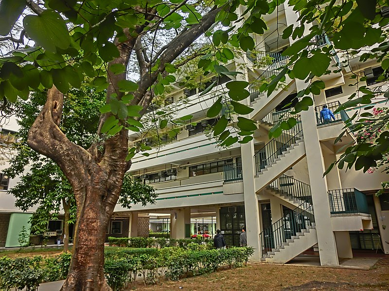 File:HK 油麻地 Yau Ma Tei 九龍華仁書院 Kowloon Wah Yan College back door campus garden Jan-2014 trees outdoor staircase.JPG