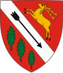 Wappen von Rinyabesenyő