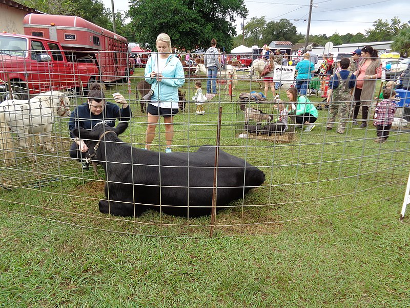 File:Hahira Honeybee Festival 2015 17.JPG