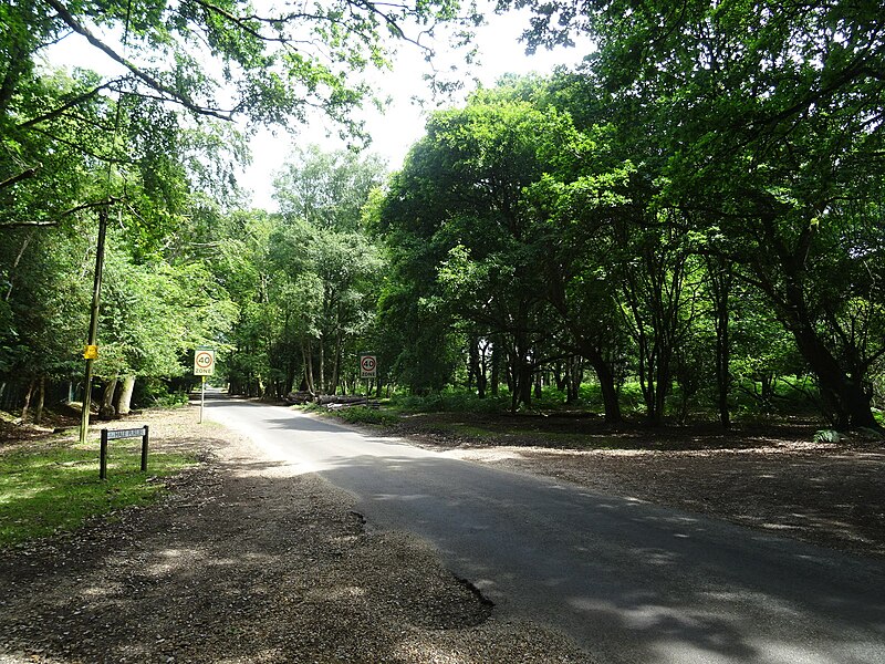 File:Hale Purlieu - geograph.org.uk - 5820715.jpg