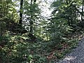 Les anciennes douves, au nord de la colline du château