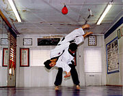 Estudiantes de Hapkido