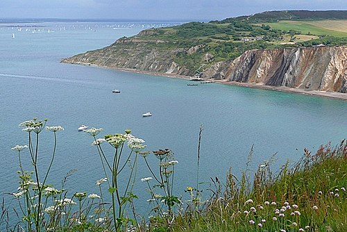 Hatherwood Point and Alum Bay - geograph.org.uk - 1377275.jpg