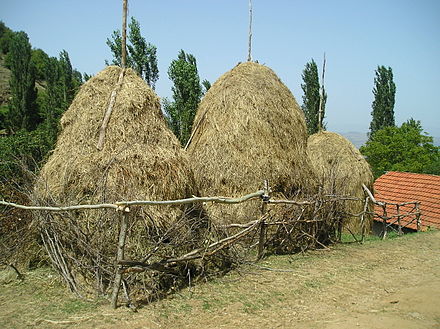 Сено вики