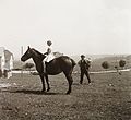 Horse, rider, kid, hat Fortepan 92300.jpg