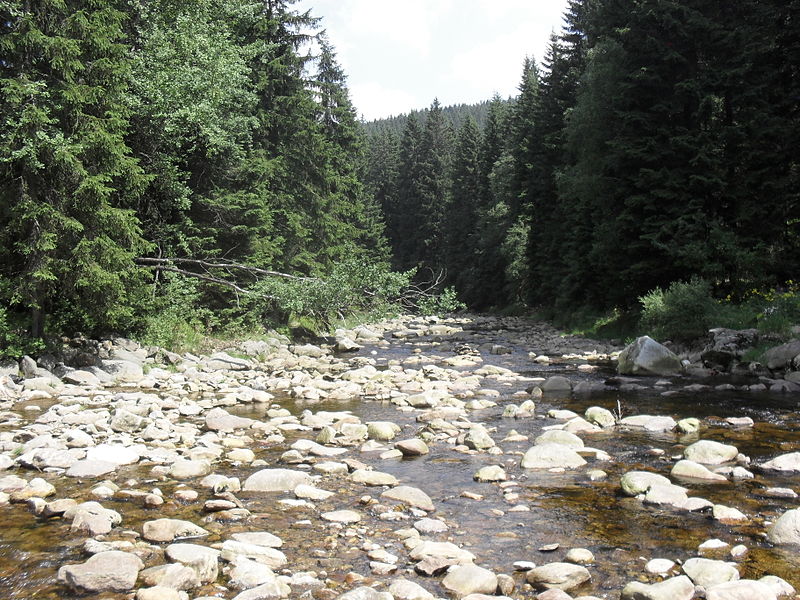 File:Hradlový most (Šumava) 71.JPG