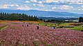 2021年12月1日 (水) 13:49時点における版のサムネイル