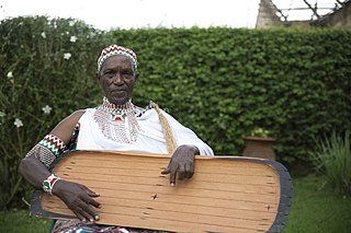 <span class="mw-page-title-main">Trough zither</span> Group of African stringed instruments