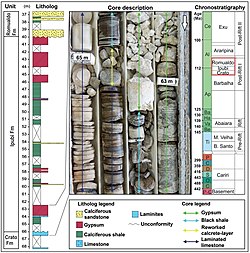 Lithological and core log of the Ipubi Formation Ipubi Formation - litholog and core log.jpg