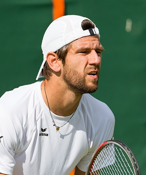 Melzer at Wimbledon in 2015