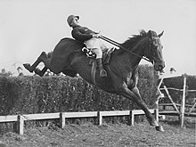 John Johnstone, Cheltenham circa 1923 Jj2 2.jpg