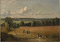 John Constable, Le champ de blé, 1816, huile sur toile, 54.6 x 78.1 cm