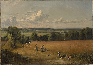 Le champ de blé ,1816, huile sur toile, 54,6 × 78,1 cm, Clark Art Institute