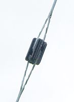 Low-voltage "egg"-type strain insulator, used in utility-pole guy cables to prevent any voltage on the guy caused by an electrical fault on the pole from reaching the lower sections accessible to the public