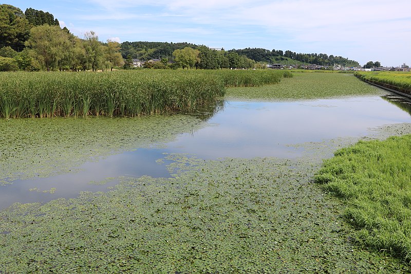 File:Jyunicho-Gata Lagoon lake September 2017 02.jpg