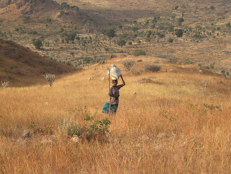 File:Kapsiki woman on hill.jpg